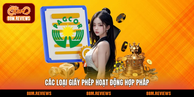 88M 22 Các loại giấy phép hoạt động hợp pháp