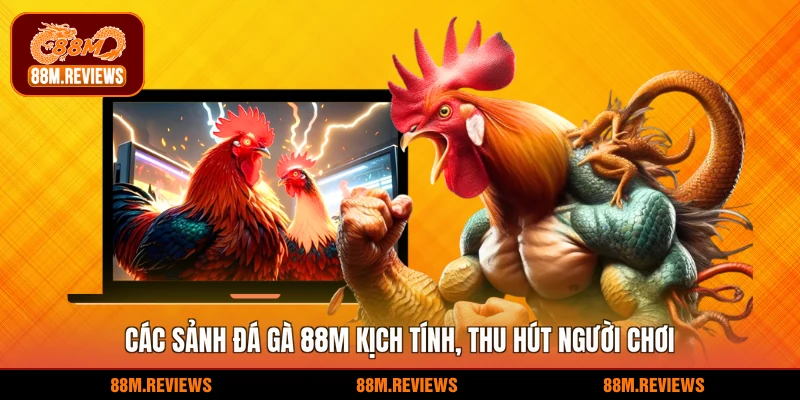 Các sảnh đá gà 88M kịch tính, thu hút người chơi