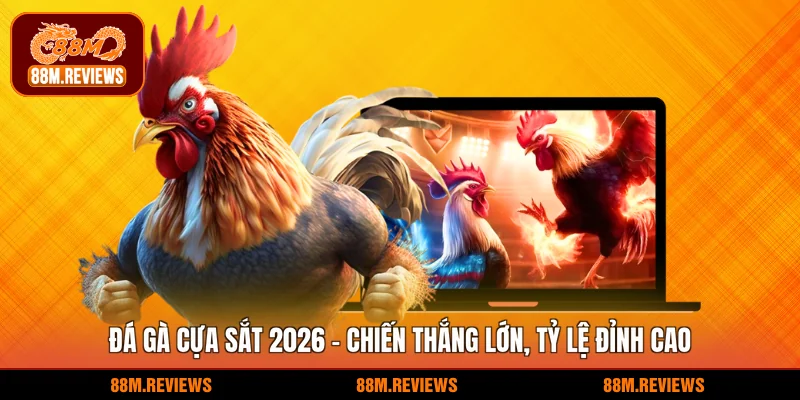 Đá gà cựa sắt