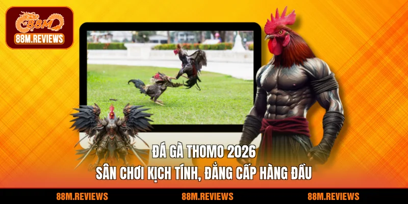 đá gà thomo