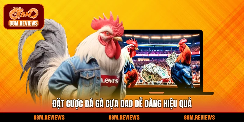 Đặt cược đá gà cựa dao dễ dàng hiệu quả