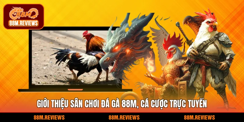 Giới thiệu sân chơi đá gà 88M, cá cược trực tuyến