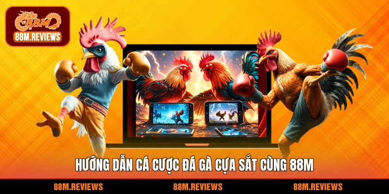 Hướng dẫn cá cược đá gà cựa sắt cùng 88M