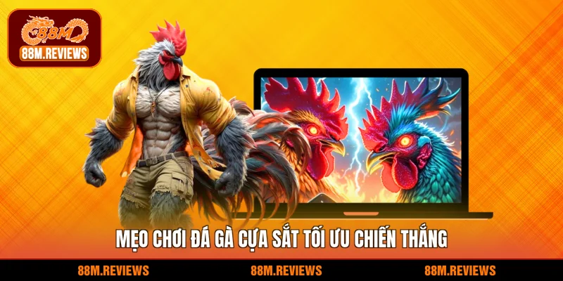 Mẹo chơi đá gà cựa sắt tối ưu chiến thắng